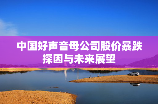 中国好声音母公司股价暴跌探因与未来展望