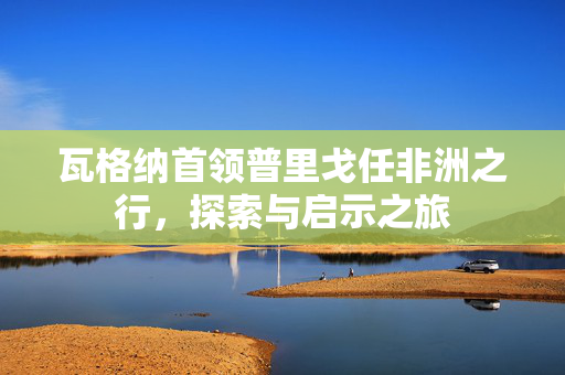 瓦格纳首领普里戈任非洲之行，探索与启示之旅