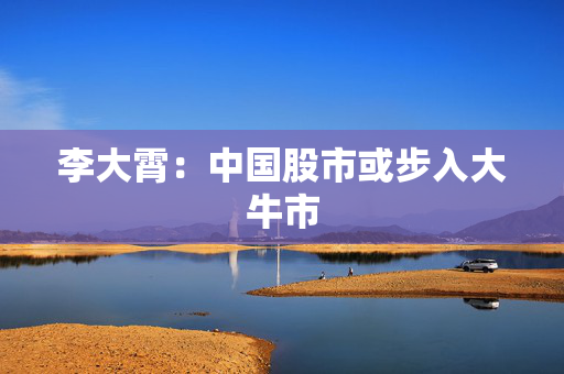 李大霄：中国股市或步入大牛市