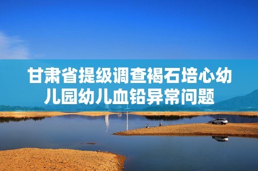 甘肃省提级调查褐石培心幼儿园幼儿血铅异常问题