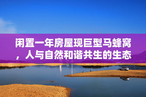 闲置一年房屋现巨型马蜂窝，人与自然和谐共生的生态启示
