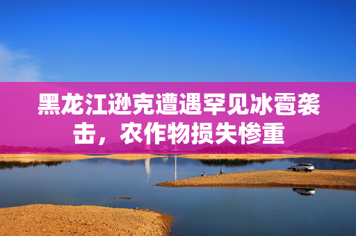 黑龙江逊克遭遇罕见冰雹袭击，农作物损失惨重