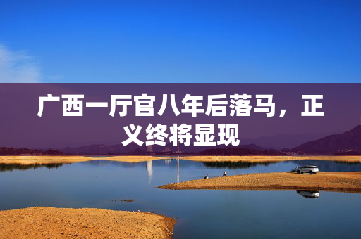广西一厅官八年后落马，正义终将显现
