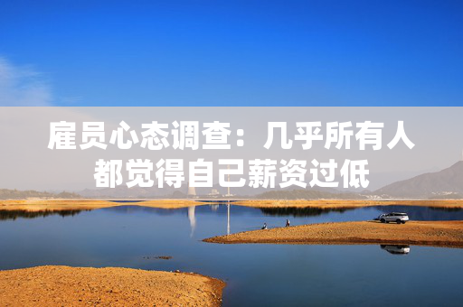 雇员心态调查：几乎所有人都觉得自己薪资过低