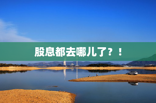 股息都去哪儿了？！
