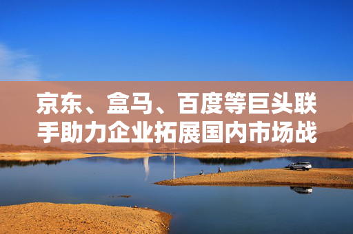 京东、盒马、百度等巨头联手助力企业拓展国内市场战略揭秘