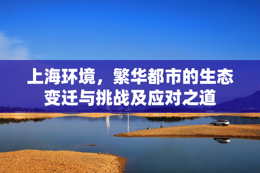 上海环境，繁华都市的生态变迁与挑战及应对之道