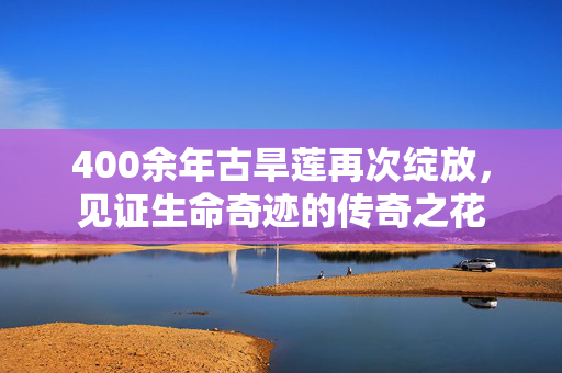 400余年古旱莲再次绽放，见证生命奇迹的传奇之花