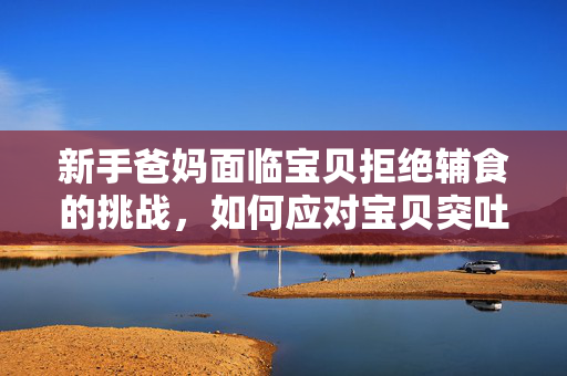 新手爸妈面临宝贝拒绝辅食的挑战，如何应对宝贝突吐面条的喂养难题