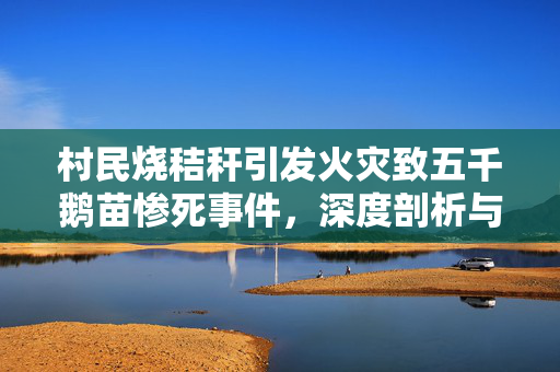 村民烧秸秆引发火灾致五千鹅苗惨死事件，深度剖析与反思
