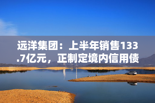 远洋集团：上半年销售133.7亿元，正制定境内信用债化解方案