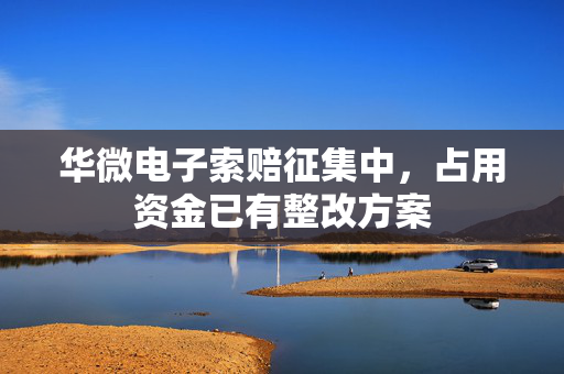 华微电子索赔征集中，占用资金已有整改方案