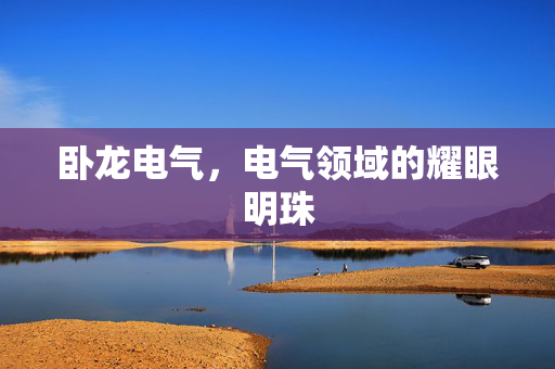 卧龙电气，电气领域的耀眼明珠