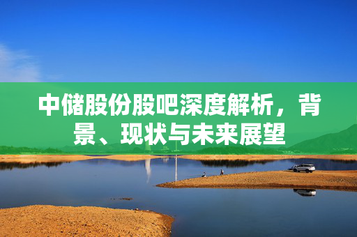 中储股份股吧深度解析，背景、现状与未来展望
