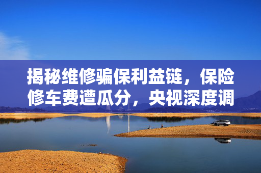 揭秘维修骗保利益链，保险修车费遭瓜分，央视深度调查起底内幕