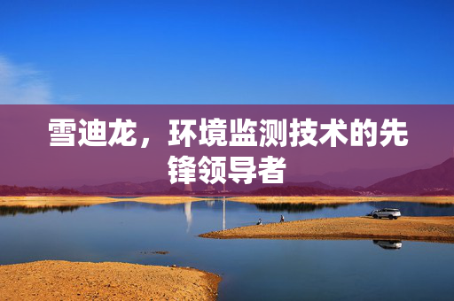 雪迪龙，环境监测技术的先锋领导者