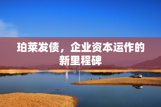 珀莱发债，企业资本运作的新里程碑