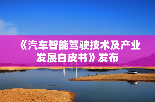 《汽车智能驾驶技术及产业发展白皮书》发布