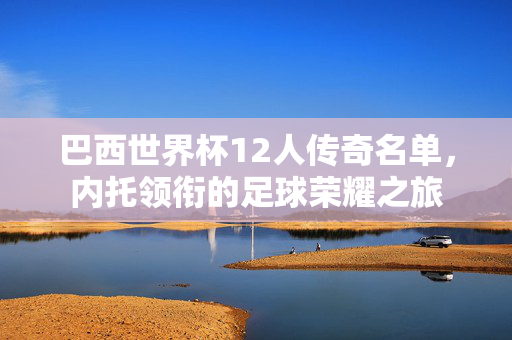 巴西世界杯12人传奇名单，内托领衔的足球荣耀之旅