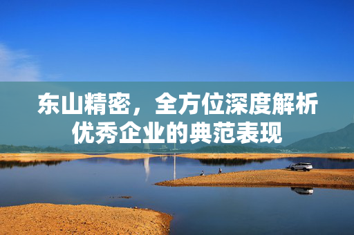 东山精密，全方位深度解析优秀企业的典范表现
