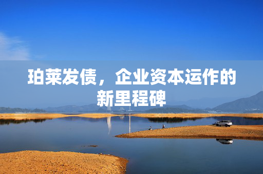 珀莱发债，企业资本运作的新里程碑