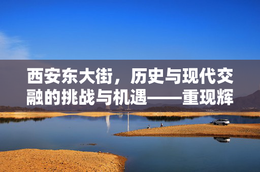西安东大街，历史与现代交融的挑战与机遇——重现辉煌的路径探索