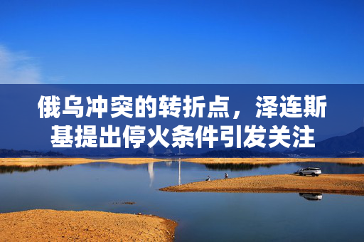 俄乌冲突的转折点，泽连斯基提出停火条件引发关注