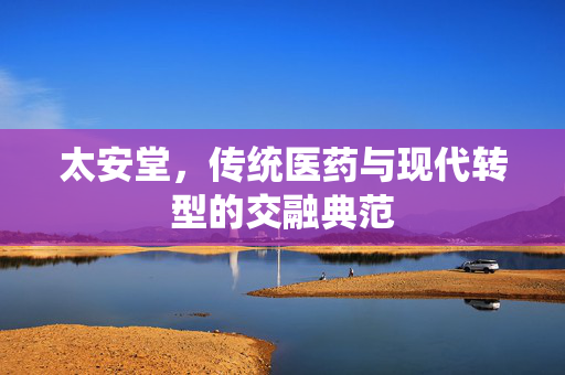 太安堂，传统医药与现代转型的交融典范