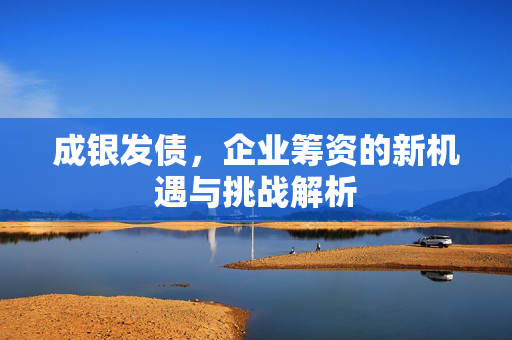 成银发债，企业筹资的新机遇与挑战解析