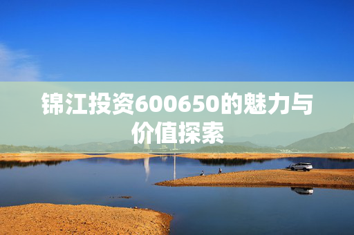 锦江投资600650的魅力与价值探索