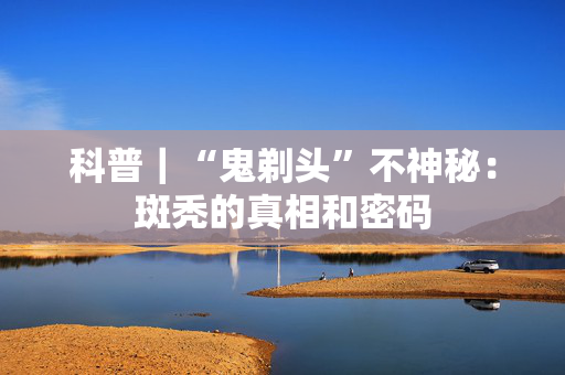 科普｜“鬼剃头”不神秘：斑秃的真相和密码
