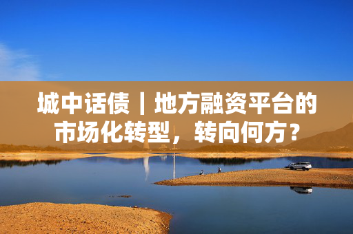 城中话债｜地方融资平台的市场化转型，转向何方？