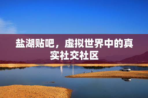 盐湖贴吧，虚拟世界中的真实社交社区