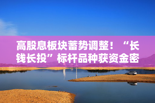 高股息板块蓄势调整！“长钱长投”标杆品种获资金密集布局