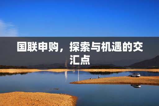 国联申购，探索与机遇的交汇点