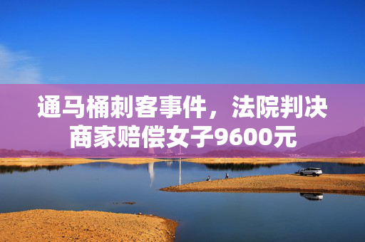 通马桶刺客事件，法院判决商家赔偿女子9600元