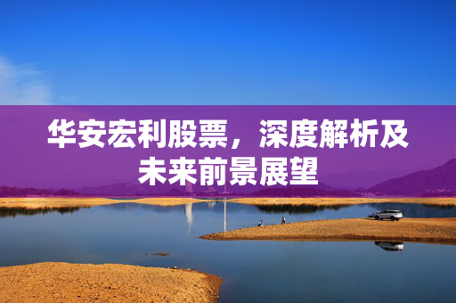 华安宏利股票，深度解析及未来前景展望