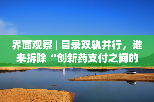 界面观察 | 目录双轨并行，谁来拆除“创新药支付之间的墙”