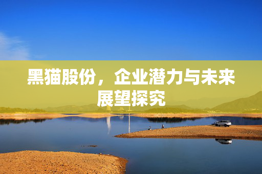 黑猫股份，企业潜力与未来展望探究