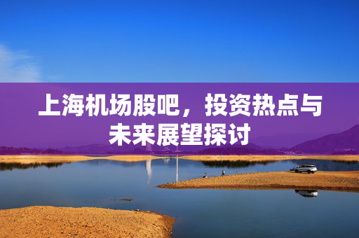 上海机场股吧，投资热点与未来展望探讨