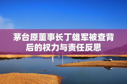 茅台原董事长丁雄军被查背后的权力与责任反思