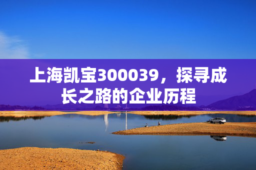 上海凯宝300039，探寻成长之路的企业历程