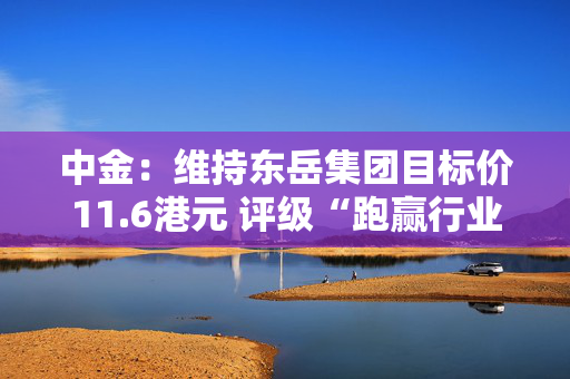 中金：维持东岳集团目标价11.6港元 评级“跑赢行业”