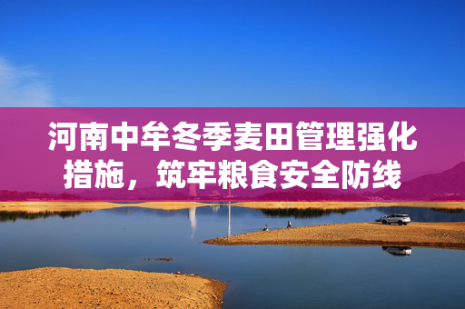 河南中牟冬季麦田管理强化措施，筑牢粮食安全防线
