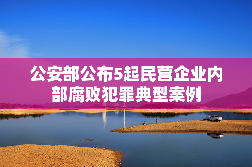 公安部公布5起民营企业内部腐败犯罪典型案例