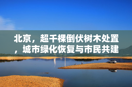 北京，超千棵倒伏树木处置，城市绿化恢复与市民共建共享的成果展现