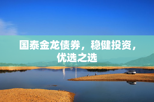 国泰金龙债券，稳健投资，优选之选