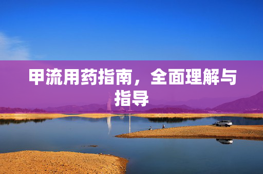 甲流用药指南，全面理解与指导