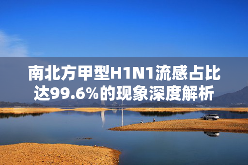 南北方甲型H1N1流感占比达99.6%的现象深度解析