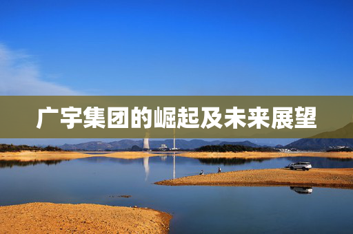 广宇集团的崛起及未来展望